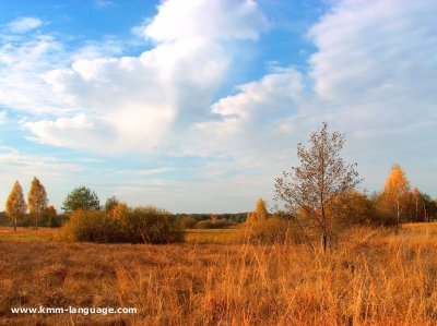 Sedge fen in Polesie