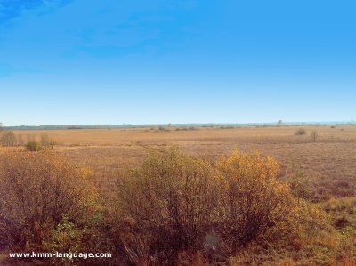 Raised bog Polesie