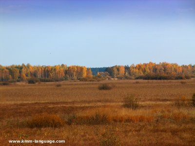 Poleski National Park