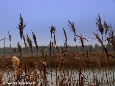 jezioro Moszne  - Poleski Park N