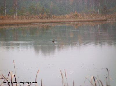 jezioro Moszne Poleski National 