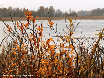 Polski National Park