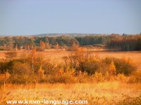 Poleski National Park