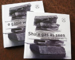 Shale gas as seen by Polish Geological Survey